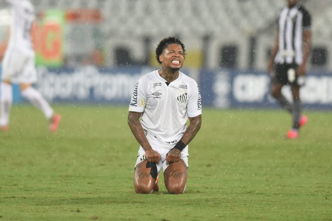 Camisa 11 do finalista: Marinho deixou de ser meme e se tornou referência  fora de campo no Santos