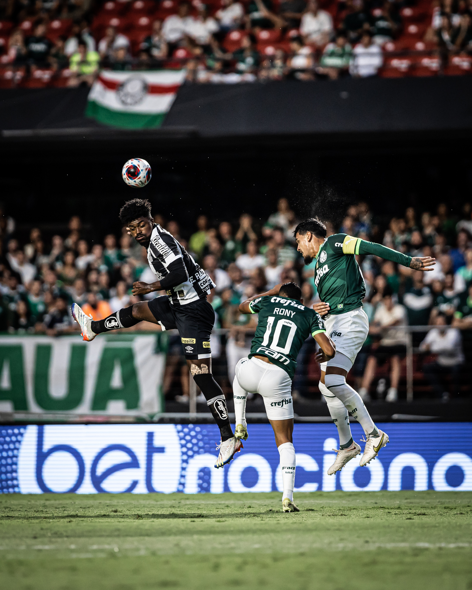 Agora é a vez da torcida do Palmeiras atingir marca histórica