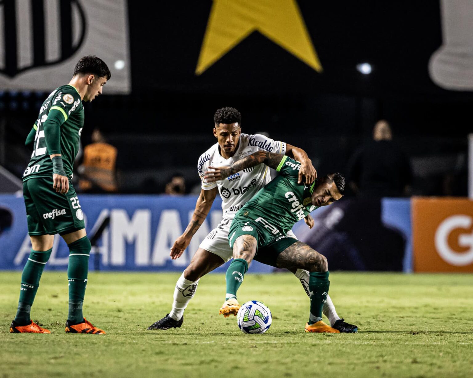 Veja Os Melhores Momentos Do Clássico Santos X Palmeiras - Diário Do Peixe