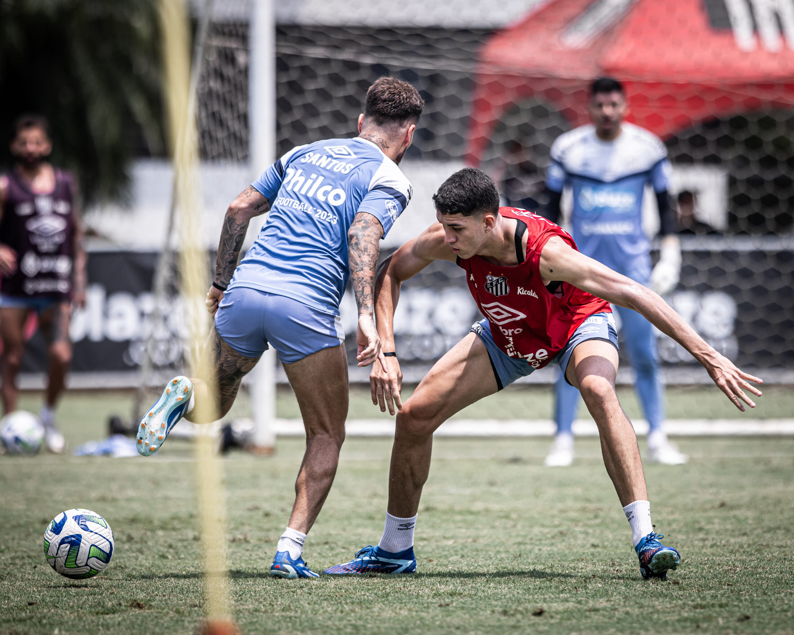 Santos toma aula do Fluminense, é goleado na Vila e se complica no  Brasileiro - Diário do Peixe