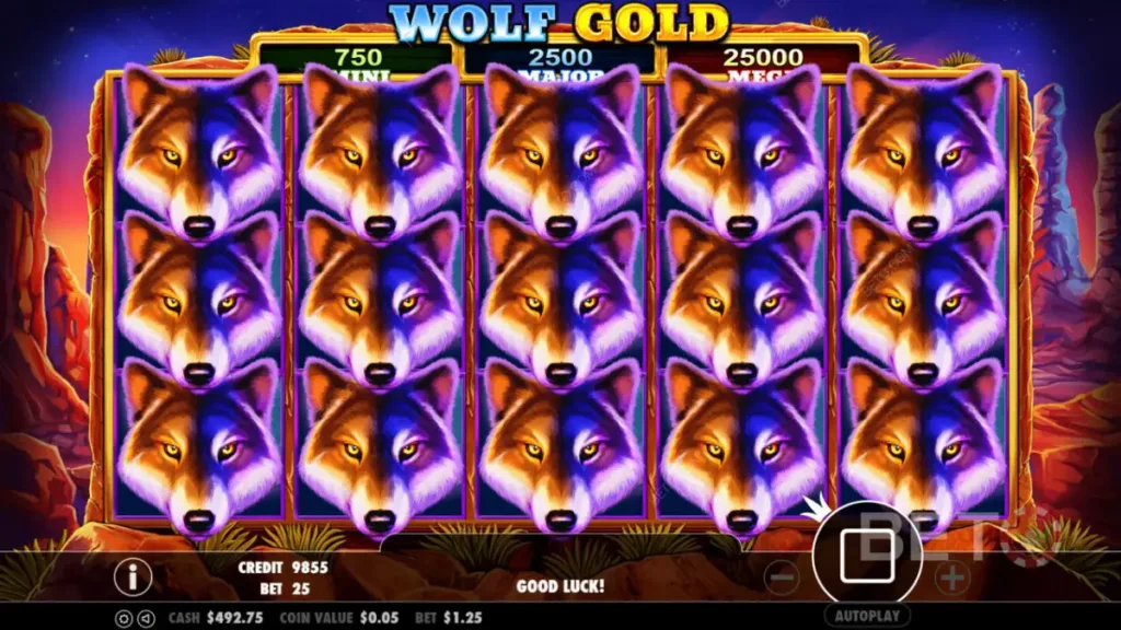 Como funciona o Wolf Gold