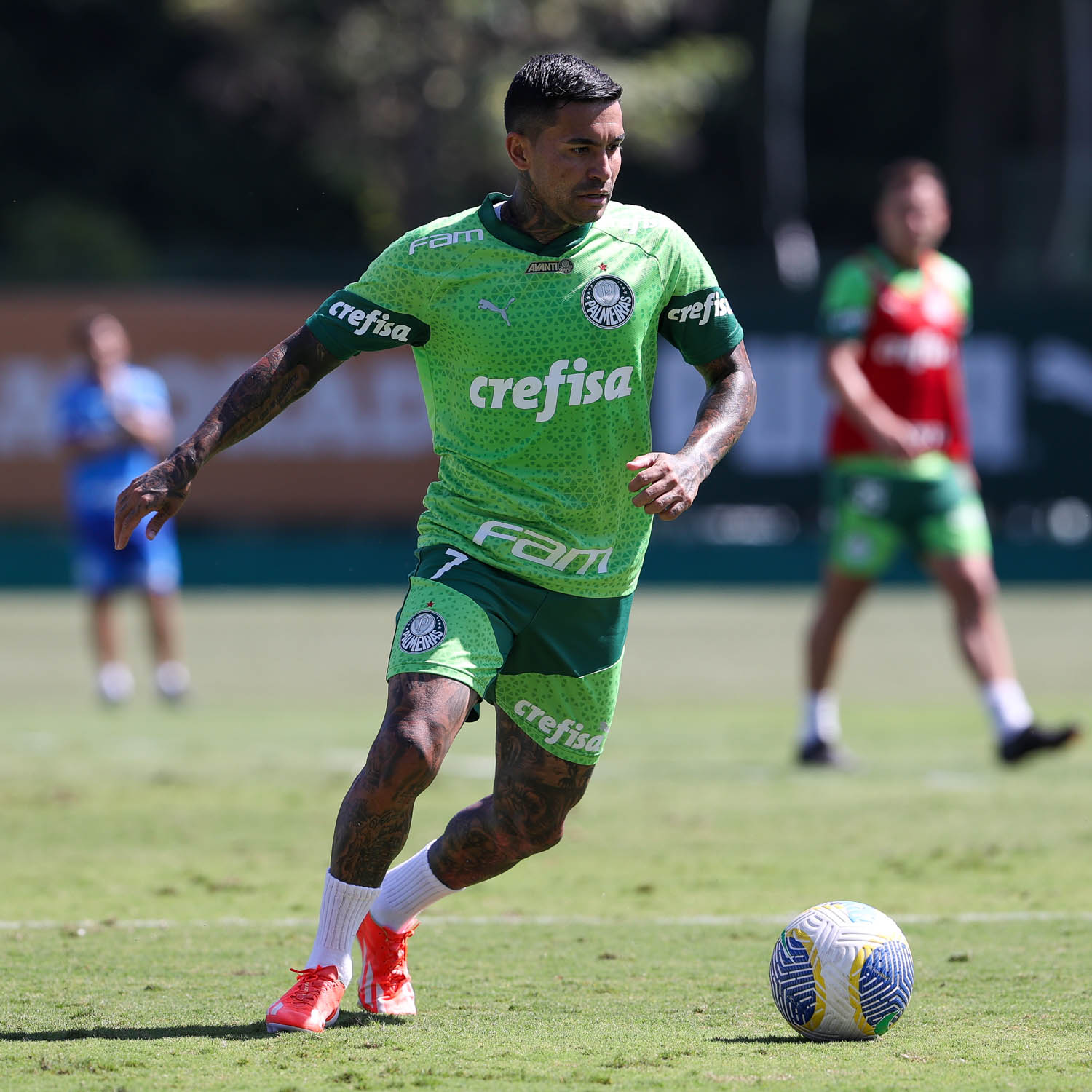 Alvo Santos, Dudu rescinde com Palmeiras e tem ida encaminhada ao Cruzeiro